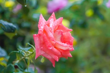 Similar image 21282723