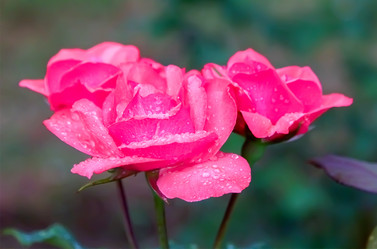 Similar image 21283081