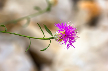 Similar image 21283083