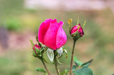 Similar image 21283084