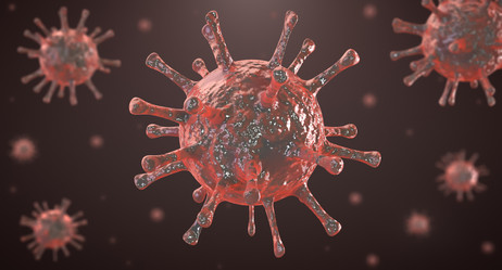 Similar image 21268870