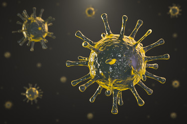 Similar image 21270857