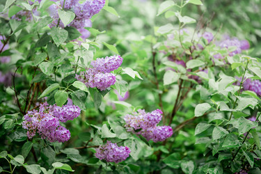 Similar image 21272661