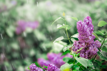 Similar image 21271769