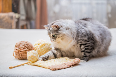 Similar image 21271707