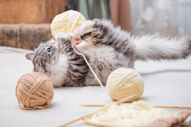 Similar image 21272919