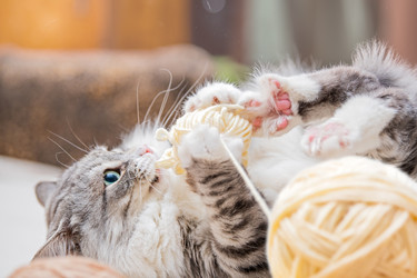 Similar image 21272663