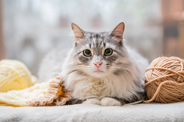 Similar image 21268683