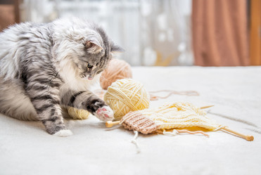 Similar image 21268689