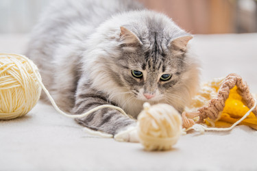 Similar image 21268691