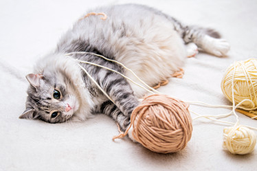 Similar image 21268692