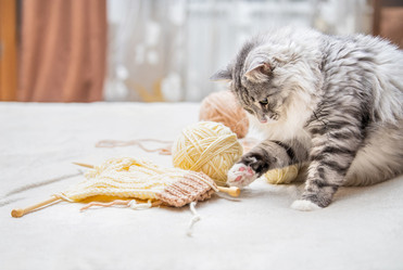 Similar image 21271462