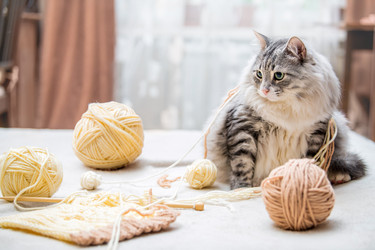 Similar image 21268694