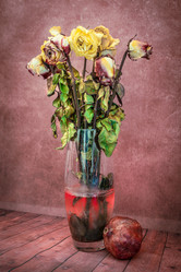 Similar image 21274575