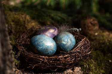 Similar image 21282639