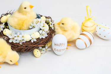 Similar image 21272384