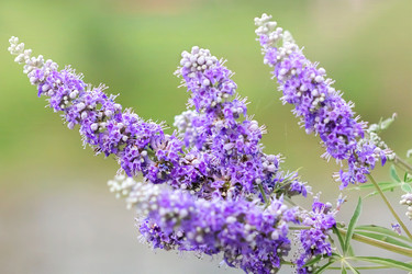 Similar image 21283374