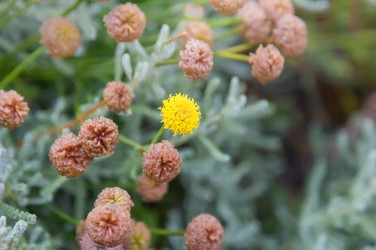 Similar image 21283375