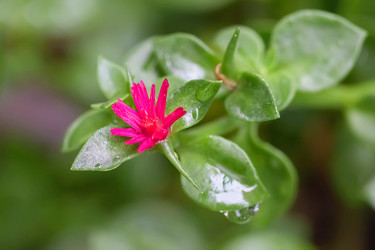 Similar image 21283376