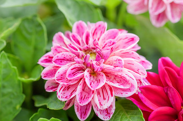 Similar image 21283377