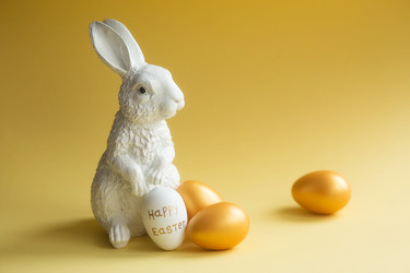 Similar image 21270580