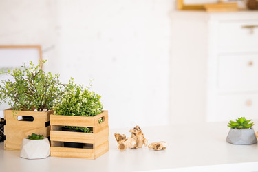 Similar image 21271471