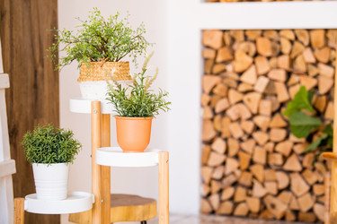 Similar image 21271472