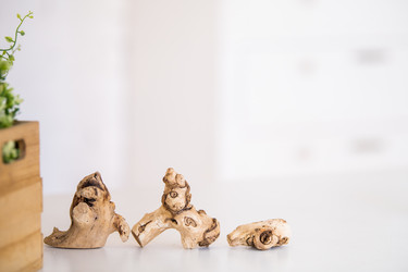 Similar image 21271473