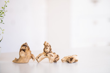 Similar image 21271711