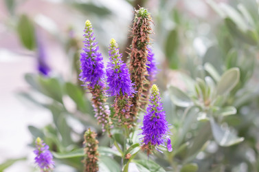 Similar image 21283226