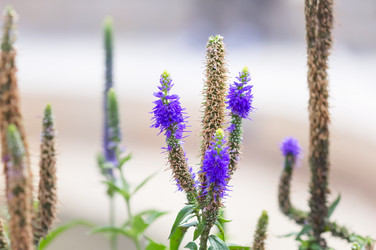 Similar image 21283227