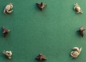 Similar image 21269975