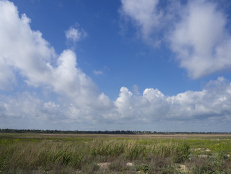 Similar image 21269977