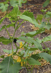 Similar image 21269978