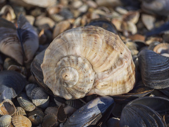 Similar image 21269981