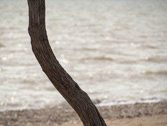 Similar image 21269982