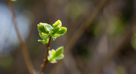 Similar image 21270590