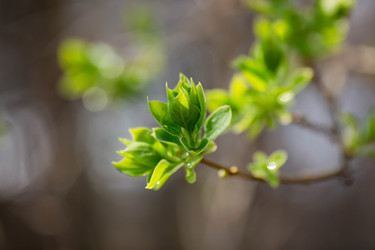 Similar image 21270591