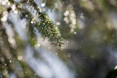 Similar image 21270592