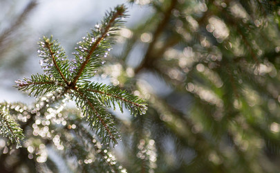 Similar image 21270594