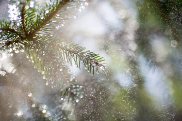 Similar image 21270595