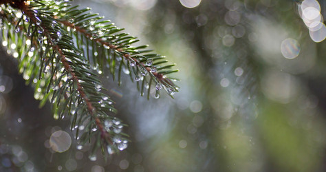 Similar image 21272167