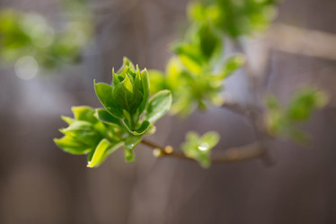 Similar image 21272170