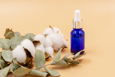 Similar image 21275237