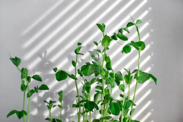 Similar image 21269987