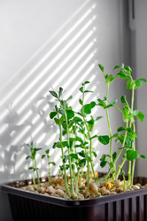 Similar image 21272926