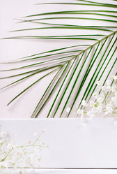 Similar image 21270030