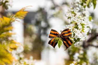 Similar image 21270613