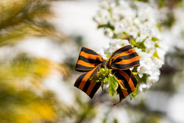 Similar image 21270615