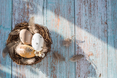 Similar image 21282233